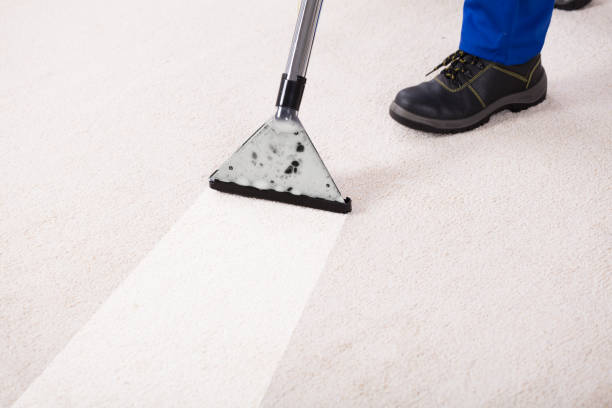 Carpet Cleaning Services in Plano