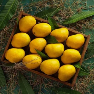 ratnagiri-alphonso-mango_Hapus