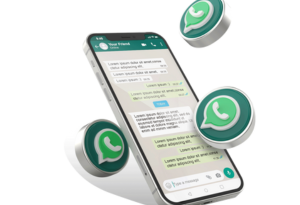 bulk whatsapp marketing services provider in india