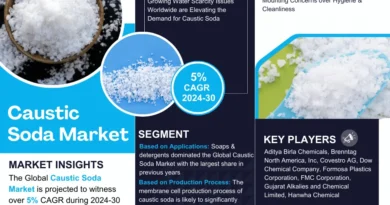 Global Caustic Soda Market