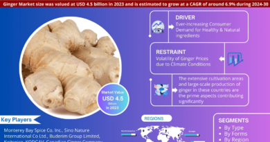 Global Ginger Market