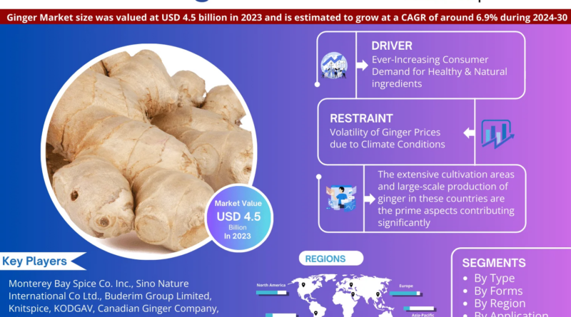 Global Ginger Market