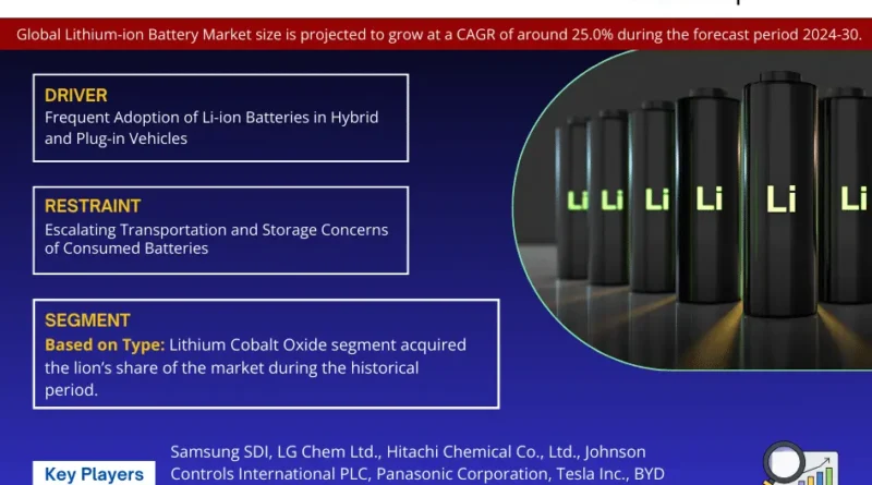 Global Lithium Ion Battery Market