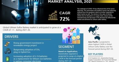 Global Lithium Sulfur Battery Market