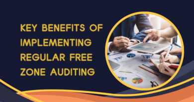 Free Zone Auditing