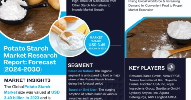 Potato Starch Market