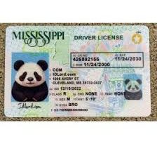 fake mississippi id