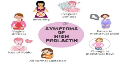 hormone prolactin