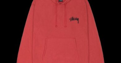 stussy hoodie