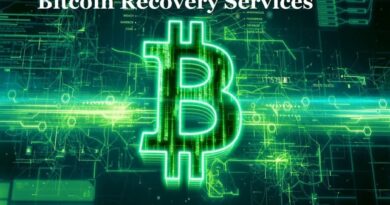 Bitcoin Recovery Services