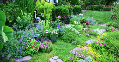 How Can I Create a Flower Garden That Requires Less Maintenance