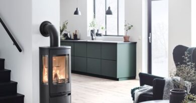 Wood Burning Stoves Hampshire