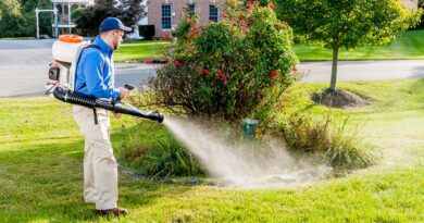 mosquito control columbus