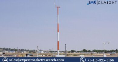 Automated Weather Observation System Market