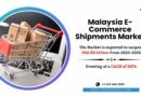 Malaysia E-Commerce Shipments Market