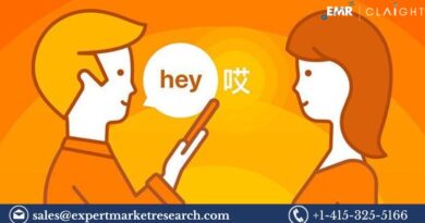 Speech to Speech Translation Market