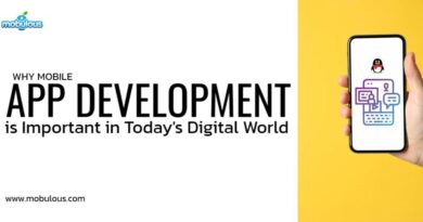 Why Mobile App Development is Important in Today's Digital World