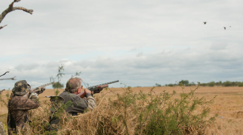 How Weather Influences Dove Hunting: A Guide to Adapting Your Strategy