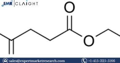 Ethyl Levulinate Market