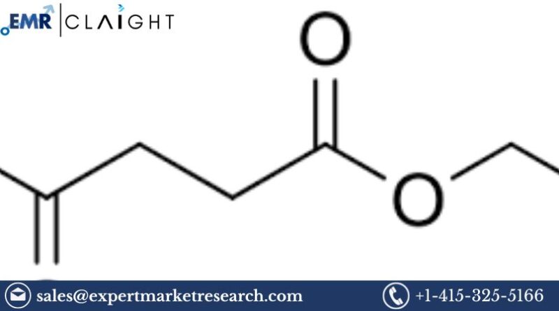 Ethyl Levulinate Market