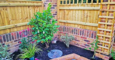 Landscaping Designs Poole