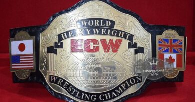 Champion Title Belt