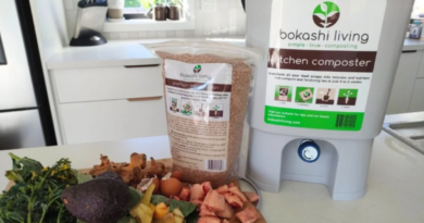 Bokashi vs composting