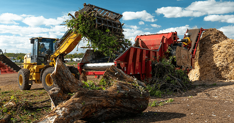 trimming, land clearing New Hampshire