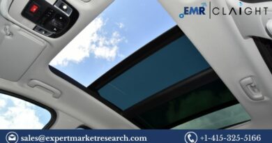 Automotive Panoramic Sunroof Market