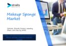 Makeup Sponge Market