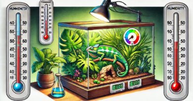 Reptile Thermometer and Humidity Gauge