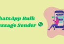 Illustration of two people interacting with a large smartphone displaying chats, alongside text reading "WhatsApp Bulk Message Sender" and a WhatsApp icon on a light green background.