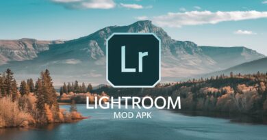 Lightroom Premium Mod APK Download 2024