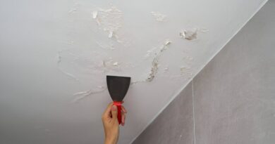 Mould Issues Andover