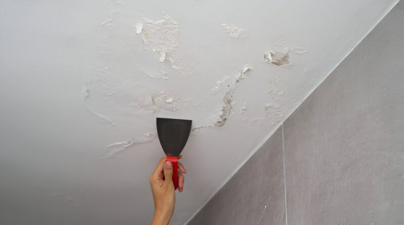 Mould Issues Andover