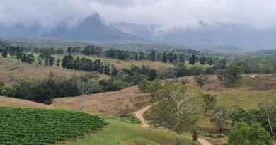 Hunter Valley Wine Tours