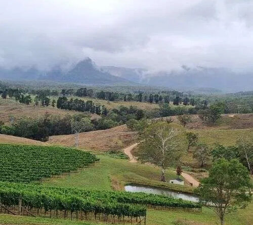 Hunter Valley Wine Tours