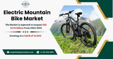 Electric Mountain Bike Market