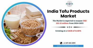 India Tofu Products Market