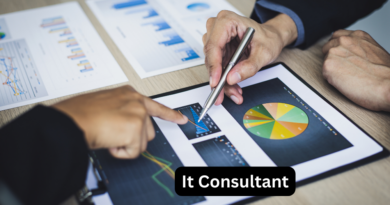 Comprehensive Guide to the Role of an IT Consultant