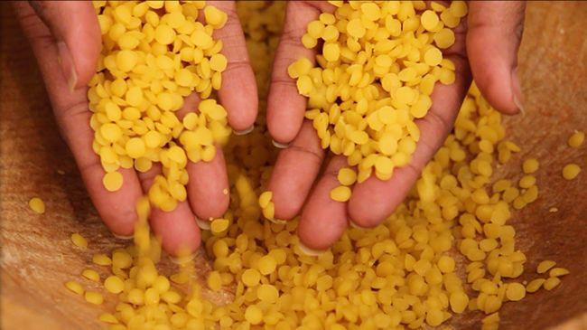 Latin America Candelilla Wax Market