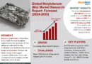 Innovations & Trends Within Molybdenum (Mo) Market: What is Expected During 2024- 2030