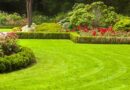 Top Garden Maintenance in Matraville – Expert Care for Your Lawn