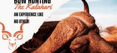 Hunting With Bow in Africa: An Unforgettable Adventure