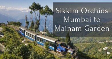 Sikkim Orchids: Mumbai to Mainam Garden