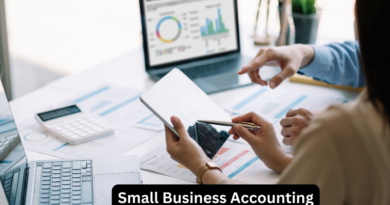 Small Business Accounting