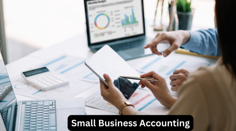 Small Business Accounting