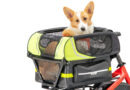 dog carrier