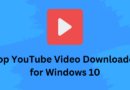 How to Download YouTube Videos in HD quality 2025