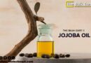 Wholesale-Jojoba-Oil-from-The-Bulk-Cart-🌱-_-Premium-Quality-Affordable-Prices